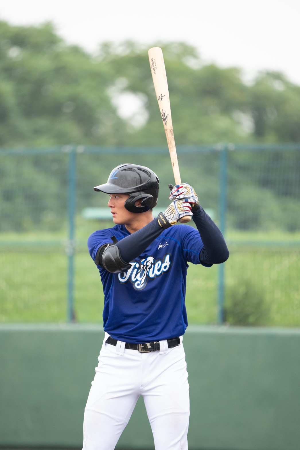 北海道日本火腿鬥士 × 台灣