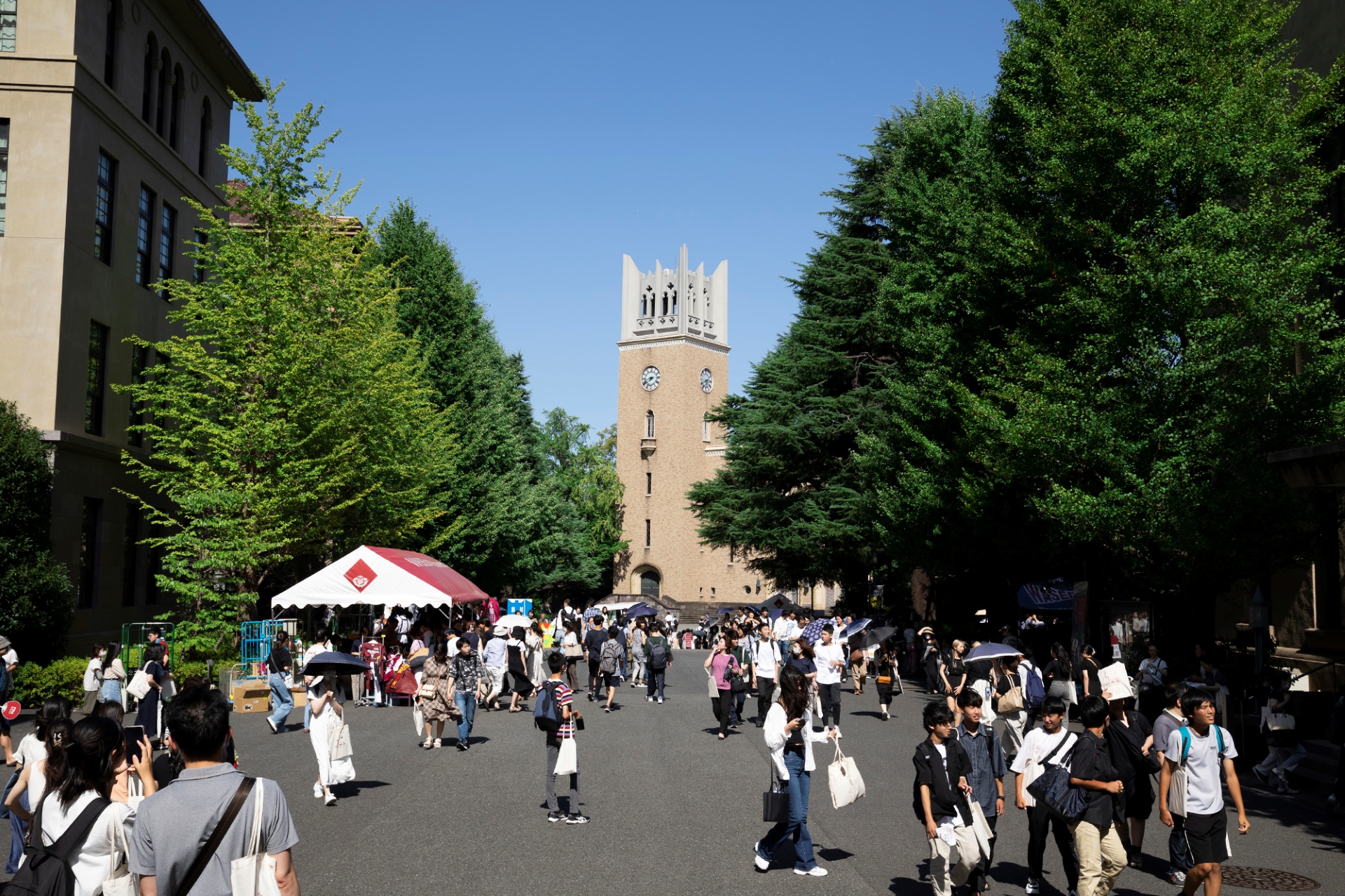 早稲田大学